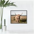 Picture of Beautiful Cow, Bella  _GroupedProduct_Rectangle_Landscape_Photography _GroupedProduct_Rectangle_Landscape_Canvas_Framed_