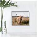 Picture of Beautiful Cow, Bella  _GroupedProduct_Rectangle_Landscape_Photography _GroupedProduct_Rectangle_Landscape_Canvas_Framed_