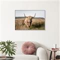 Picture of Beautiful Cow, Bella  _GroupedProduct_Rectangle_Landscape_Photography _GroupedProduct_Rectangle_Landscape_Canvas_Framed_
