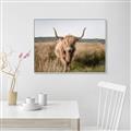 Picture of Beautiful Cow, Bella  _GroupedProduct_Rectangle_Landscape_Photography _GroupedProduct_Rectangle_Landscape_Canvas_Framed_