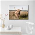 Picture of Beautiful Cow, Bella  _GroupedProduct_Rectangle_Landscape_Photography _GroupedProduct_Rectangle_Landscape_Canvas_Framed_