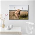 Picture of Beautiful Cow, Bella  _GroupedProduct_Rectangle_Landscape_Photography _GroupedProduct_Rectangle_Landscape_Canvas_Framed_