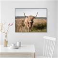 Picture of Beautiful Cow, Bella  _GroupedProduct_Rectangle_Landscape_Photography _GroupedProduct_Rectangle_Landscape_Canvas_Framed_