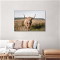 Picture of Beautiful Cow, Bella  _GroupedProduct_Rectangle_Landscape_Photography _GroupedProduct_Rectangle_Landscape_Canvas_Framed_