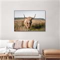 Picture of Beautiful Cow, Bella  _GroupedProduct_Rectangle_Landscape_Photography _GroupedProduct_Rectangle_Landscape_Canvas_Framed_