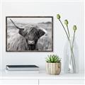 Picture of Betty  _GroupedProduct_Rectangle_Landscape_Photography _GroupedProduct_Rectangle_Landscape_Canvas_Framed_