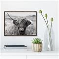 Picture of Betty  _GroupedProduct_Rectangle_Landscape_Photography _GroupedProduct_Rectangle_Landscape_Canvas_Framed_
