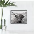 Picture of Betty  _GroupedProduct_Rectangle_Landscape_Photography _GroupedProduct_Rectangle_Landscape_Canvas_Framed_
