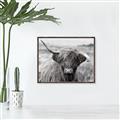 Picture of Betty  _GroupedProduct_Rectangle_Landscape_Photography _GroupedProduct_Rectangle_Landscape_Canvas_Framed_