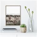 Picture of Bicycle Basket _GroupedProduct_Rectangle_Portrait_Photography _GroupedProduct_Rectangle_Portrait_Canvas_Framed_