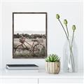 Picture of Bicycle Basket _GroupedProduct_Rectangle_Portrait_Photography _GroupedProduct_Rectangle_Portrait_Canvas_Framed_