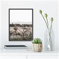 Picture of Bicycle Basket _GroupedProduct_Rectangle_Portrait_Photography _GroupedProduct_Rectangle_Portrait_Canvas_Framed_