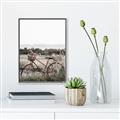 Picture of Bicycle Basket _GroupedProduct_Rectangle_Portrait_Photography _GroupedProduct_Rectangle_Portrait_Canvas_Framed_
