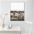Picture of Bicycle Basket _GroupedProduct_Rectangle_Portrait_Photography _GroupedProduct_Rectangle_Portrait_Canvas_Framed_