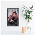 Picture of Boxing Gloves _GroupedProduct_Rectangle_Portrait_Photography _GroupedProduct_Rectangle_Portrait_Canvas_Framed_