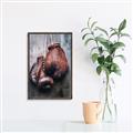 Picture of Boxing Gloves _GroupedProduct_Rectangle_Portrait_Photography _GroupedProduct_Rectangle_Portrait_Canvas_Framed_