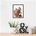 Picture of Brown Fall  _GroupedProduct_Rectangle_Portrait_Photography _GroupedProduct_Rectangle_Portrait_Canvas_Framed_