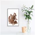 Picture of Brown Fall  _GroupedProduct_Rectangle_Portrait_Photography _GroupedProduct_Rectangle_Portrait_Canvas_Framed_