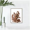 Picture of Brown Fall  _GroupedProduct_Rectangle_Portrait_Photography _GroupedProduct_Rectangle_Portrait_Canvas_Framed_
