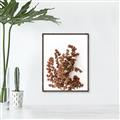 Picture of Brown Fall  _GroupedProduct_Rectangle_Portrait_Photography _GroupedProduct_Rectangle_Portrait_Canvas_Framed_
