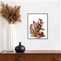 Picture of Brown Fall  _GroupedProduct_Rectangle_Portrait_Photography _GroupedProduct_Rectangle_Portrait_Canvas_Framed_