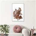 Picture of Brown Fall  _GroupedProduct_Rectangle_Portrait_Photography _GroupedProduct_Rectangle_Portrait_Canvas_Framed_