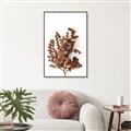 Picture of Brown Fall  _GroupedProduct_Rectangle_Portrait_Photography _GroupedProduct_Rectangle_Portrait_Canvas_Framed_