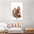 Picture of Brown Fall  _GroupedProduct_Rectangle_Portrait_Photography _GroupedProduct_Rectangle_Portrait_Canvas_Framed_