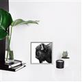 Picture of Buffalo Head _GroupedProduct_Square_Photography _GroupedProduct_Square_Canvas_Framed_