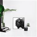 Picture of Buffalo Head _GroupedProduct_Square_Photography _GroupedProduct_Square_Canvas_Framed_