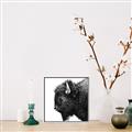 Picture of Buffalo Head _GroupedProduct_Square_Photography _GroupedProduct_Square_Canvas_Framed_