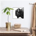 Picture of Buffalo Head _GroupedProduct_Square_Photography _GroupedProduct_Square_Canvas_Framed_