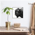 Picture of Buffalo Head _GroupedProduct_Square_Photography _GroupedProduct_Square_Canvas_Framed_