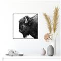 Picture of Buffalo Head _GroupedProduct_Square_Photography _GroupedProduct_Square_Canvas_Framed_