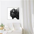 Picture of Buffalo Head _GroupedProduct_Square_Photography _GroupedProduct_Square_Canvas_Framed_
