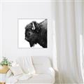 Picture of Buffalo Head _GroupedProduct_Square_Photography _GroupedProduct_Square_Canvas_Framed_
