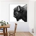 Picture of Buffalo Head _GroupedProduct_Square_Photography _GroupedProduct_Square_Canvas_Framed_