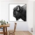 Picture of Buffalo Head _GroupedProduct_Square_Photography _GroupedProduct_Square_Canvas_Framed_