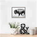 Picture of Buffalo March _GroupedProduct_Rectangle_Landscape_Photography _GroupedProduct_Rectangle_Landscape_Canvas_Framed_