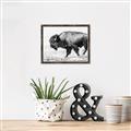 Picture of Buffalo March _GroupedProduct_Rectangle_Landscape_Photography _GroupedProduct_Rectangle_Landscape_Canvas_Framed_