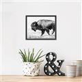 Picture of Buffalo March _GroupedProduct_Rectangle_Landscape_Photography _GroupedProduct_Rectangle_Landscape_Canvas_Framed_