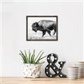 Picture of Buffalo March _GroupedProduct_Rectangle_Landscape_Photography _GroupedProduct_Rectangle_Landscape_Canvas_Framed_
