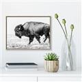 Picture of Buffalo March _GroupedProduct_Rectangle_Landscape_Photography _GroupedProduct_Rectangle_Landscape_Canvas_Framed_