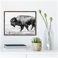 Picture of Buffalo March _GroupedProduct_Rectangle_Landscape_Photography _GroupedProduct_Rectangle_Landscape_Canvas_Framed_