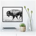 Picture of Buffalo March _GroupedProduct_Rectangle_Landscape_Photography _GroupedProduct_Rectangle_Landscape_Canvas_Framed_