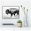 Picture of Buffalo March _GroupedProduct_Rectangle_Landscape_Photography _GroupedProduct_Rectangle_Landscape_Canvas_Framed_