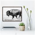 Picture of Buffalo March _GroupedProduct_Rectangle_Landscape_Photography _GroupedProduct_Rectangle_Landscape_Canvas_Framed_