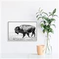 Picture of Buffalo March _GroupedProduct_Rectangle_Landscape_Photography _GroupedProduct_Rectangle_Landscape_Canvas_Framed_