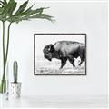 Picture of Buffalo March _GroupedProduct_Rectangle_Landscape_Photography _GroupedProduct_Rectangle_Landscape_Canvas_Framed_