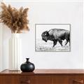 Picture of Buffalo March _GroupedProduct_Rectangle_Landscape_Photography _GroupedProduct_Rectangle_Landscape_Canvas_Framed_